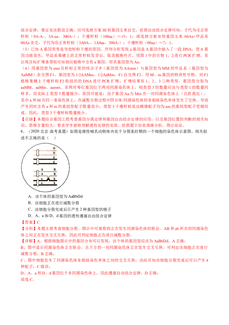 《专题07基因分离定律和自由组合定律（教师版）_北京高考全科_生物_五年（2020-2024）高考生物真题分类汇编（北京专用）》第8页预览