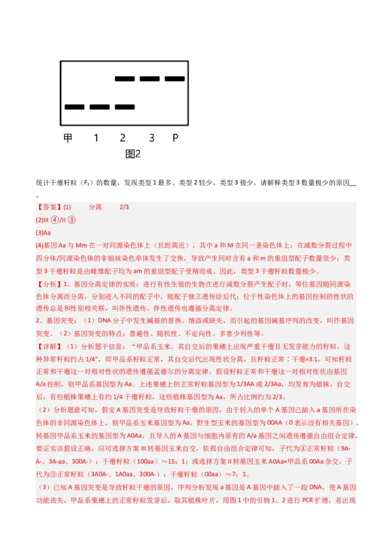 《专题07伴性遗传和人类遗传病（北京专用）（教师版）_北京高考全科_生物_5年（2021-2025）高考生物真题分类汇编（北京专用）》第6页预览
