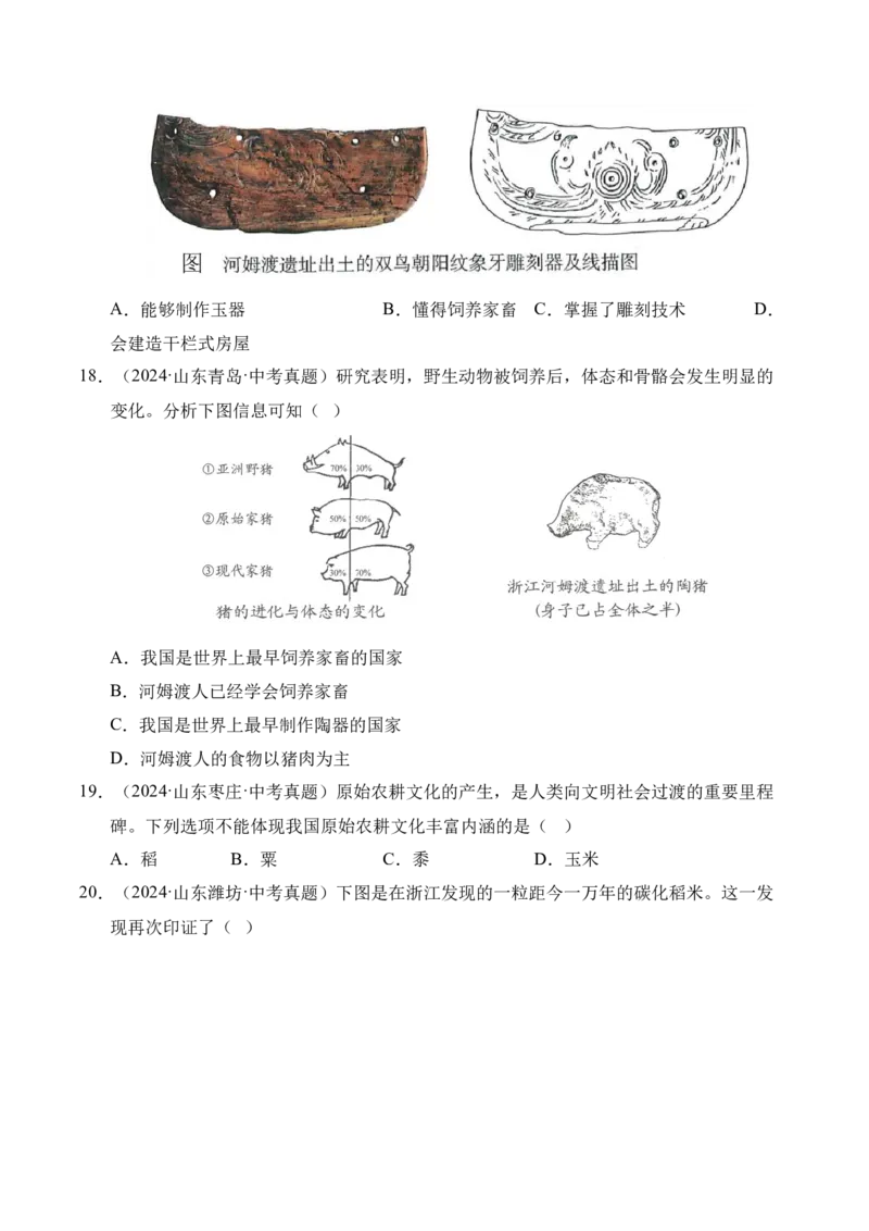 《专题01中国境内早期人类与文明的起源·选择题（全国通用）（学生版）_2026年中考真题分类汇编9科_三年（2023-2025）中考历史真题分类汇编（全国通用）-C432》第5页预览