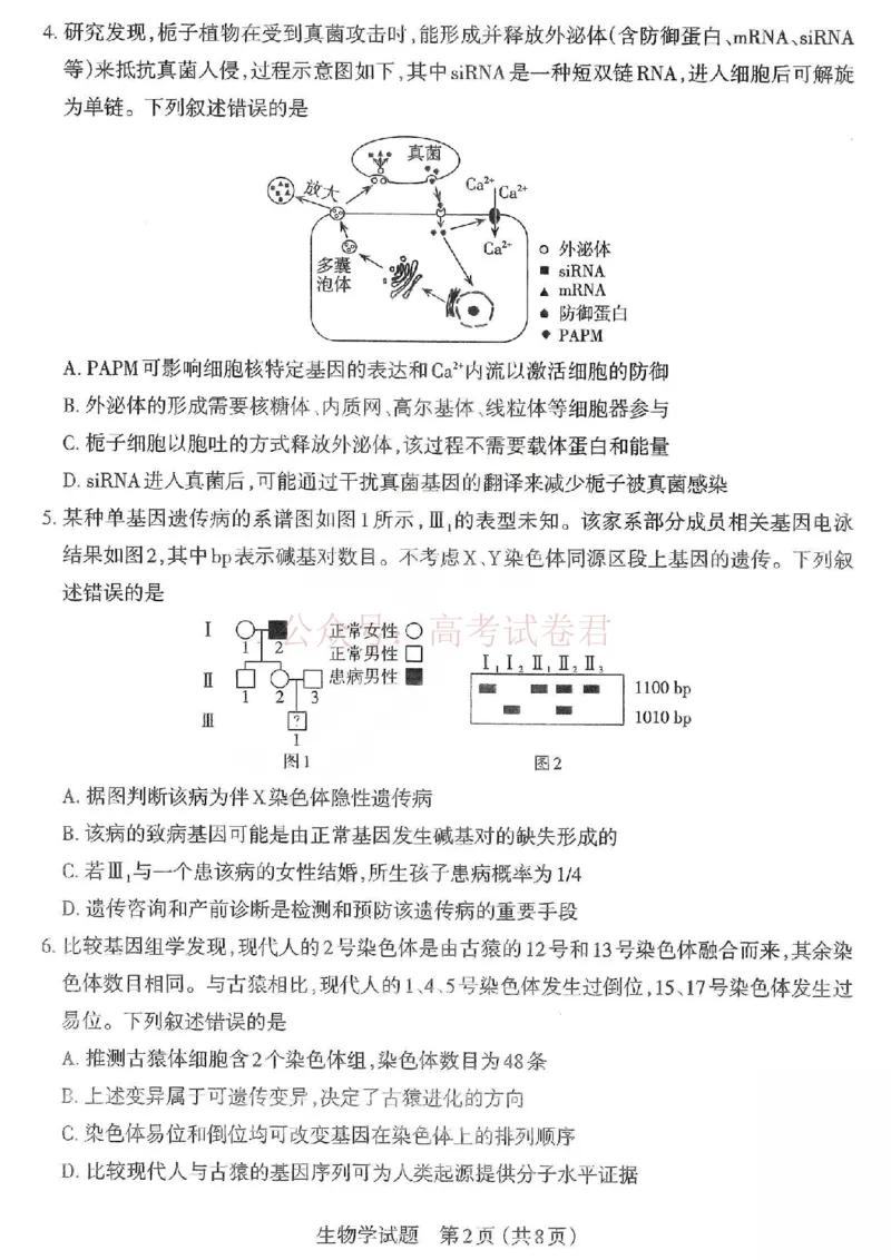 《2026年山西省太原市高三模拟考试（一）生物_12.2026年4月全国各地高考模拟卷_2026届山西省太原市高三模拟考试（一）全科_06生物_山西省太原市高三模拟考试（一）》第2页预览