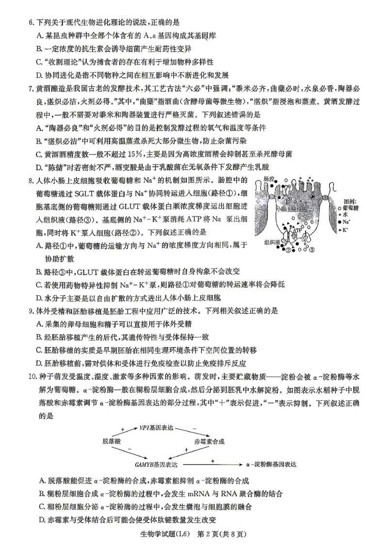 《2026届高三下学期5月联考（L6）生物_2024-2027高三（6-6月题库）_2026年05月高三试卷_260522湖南省2026届高三下学期5月联考（L6）（全科）》第2页预览
