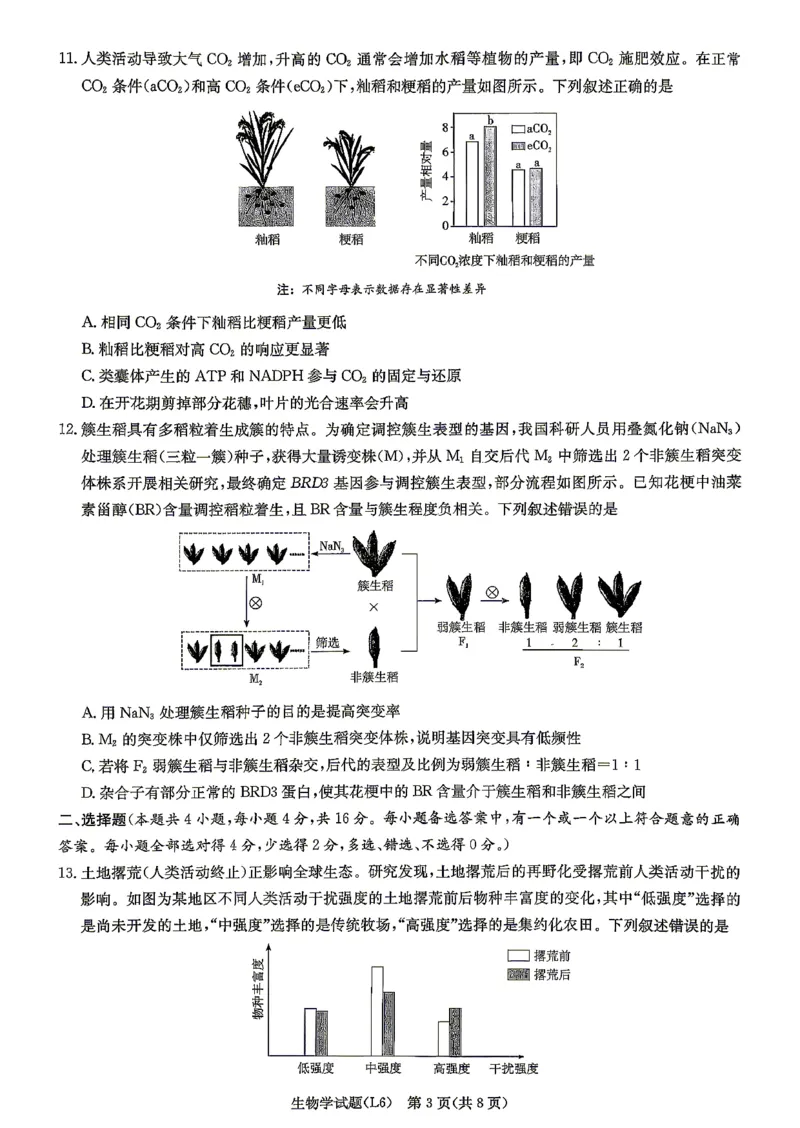 《2026届高三下学期5月联考（L6）生物_2024-2027高三（6-6月题库）_2026年05月高三试卷_260522湖南省2026届高三下学期5月联考（L6）（全科）》第3页预览