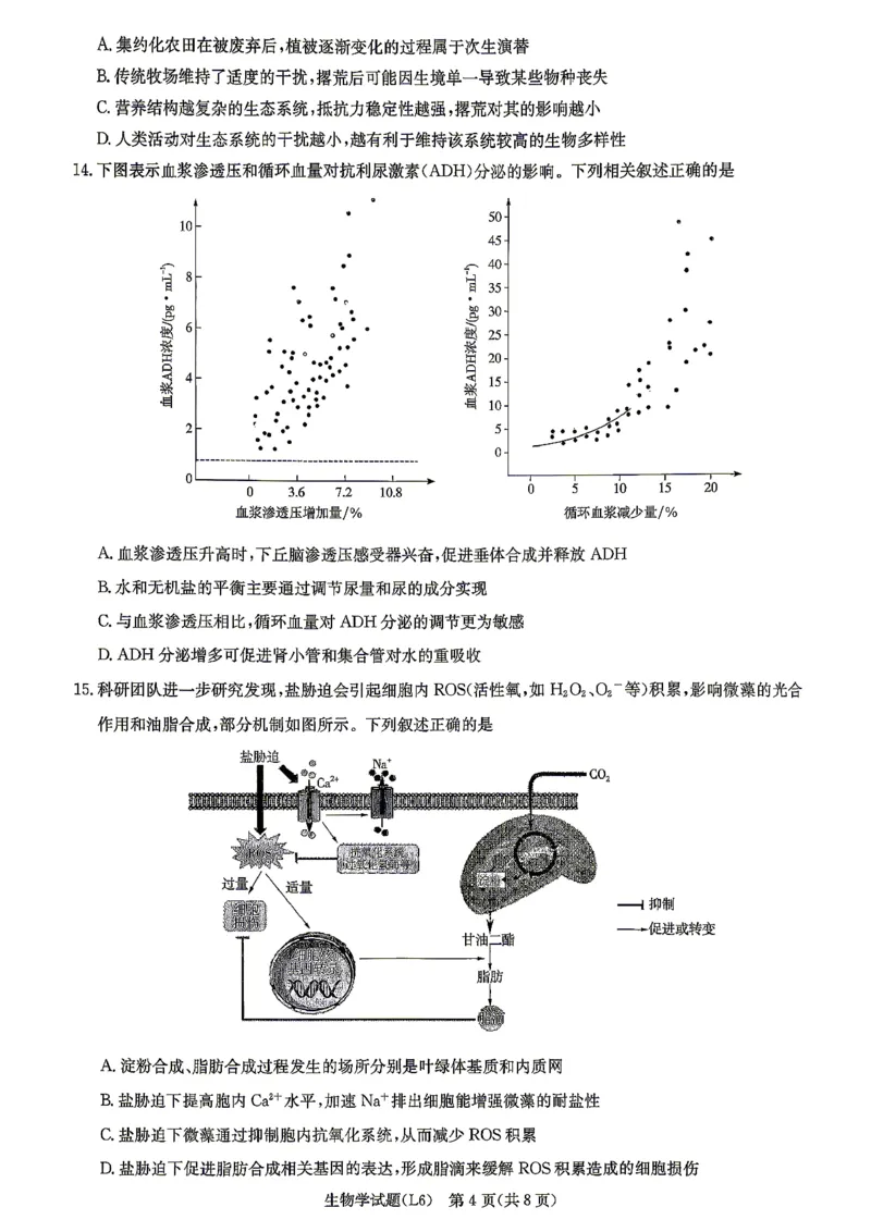 《2026届高三下学期5月联考（L6）生物_2024-2027高三（6-6月题库）_2026年05月高三试卷_260522湖南省2026届高三下学期5月联考（L6）（全科）》第4页预览