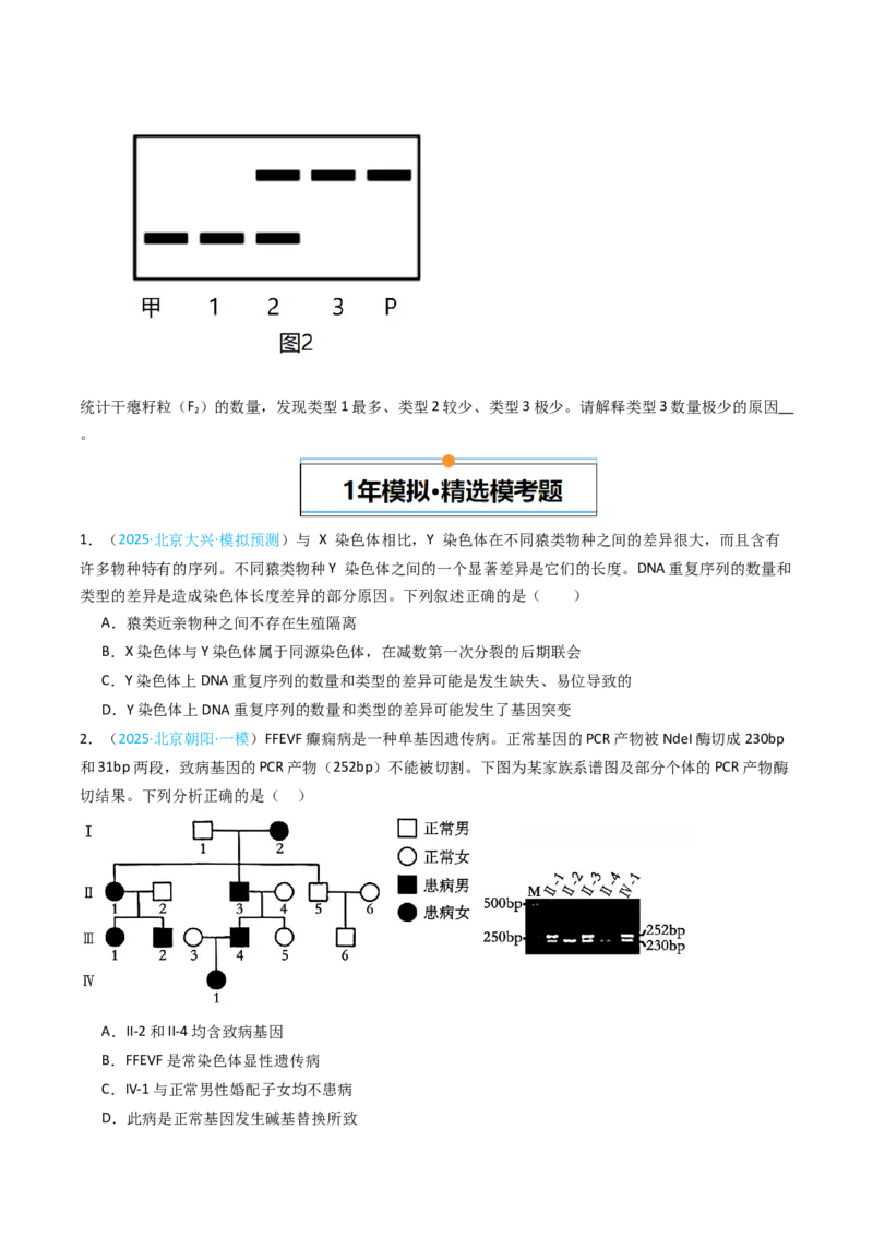 《专题07伴性遗传和人类遗传病（北京专用）（学生版）_北京高考全科_生物_5年（2021-2025）高考生物真题分类汇编（北京专用）》第4页预览
