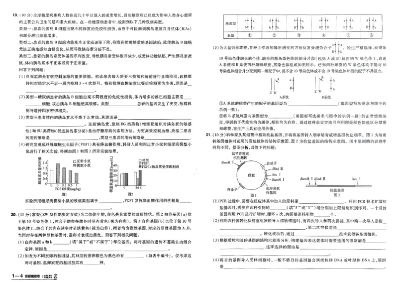《生物（全国版）：加练答题模板卷_2026版高中《金考卷45套》新高考冲刺_2026（物化生史地政）全国版省份，广西贵州云南新疆重庆甘肃北京天津海南西藏》第5页预览