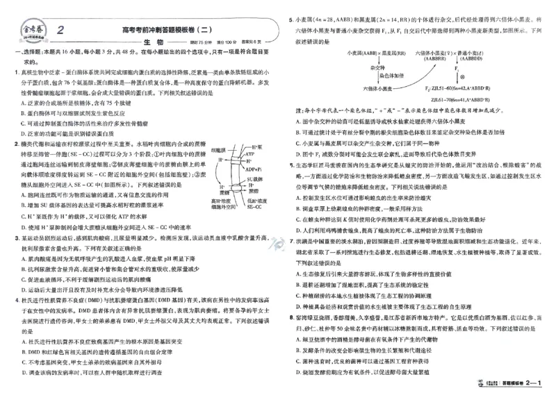 《生物（全国版）：加练答题模板卷_2026版高中《金考卷45套》新高考冲刺_2026（物化生史地政）全国版省份，广西贵州云南新疆重庆甘肃北京天津海南西藏》第6页预览