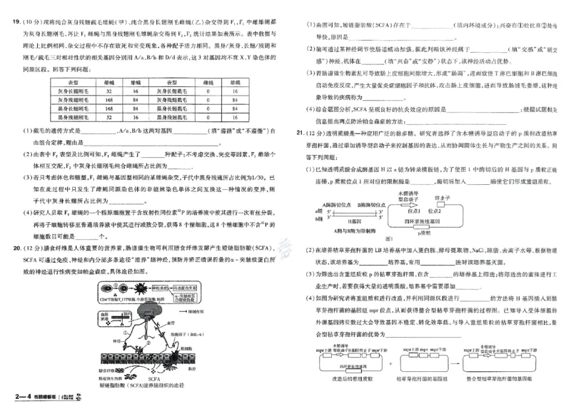 《生物（全国版）：加练答题模板卷_2026版高中《金考卷45套》新高考冲刺_2026（物化生史地政）全国版省份，广西贵州云南新疆重庆甘肃北京天津海南西藏》第9页预览