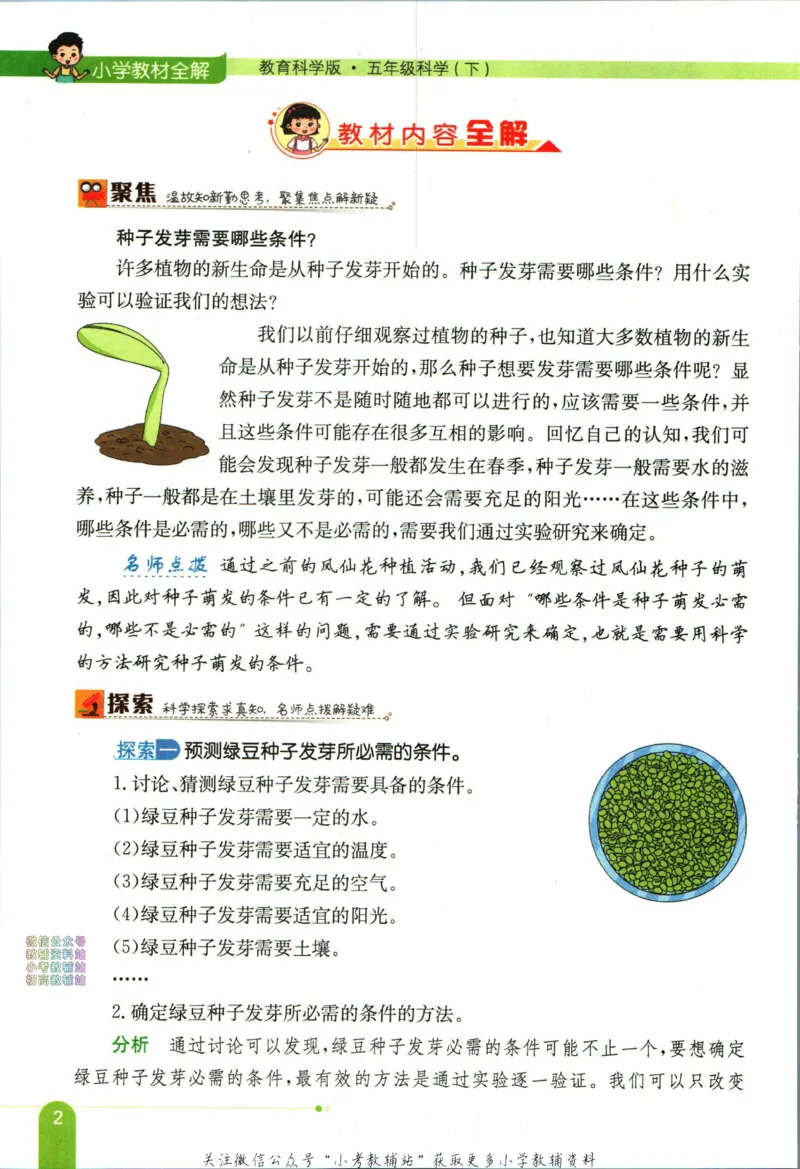 《小学教材全解五年级下册科学教科版_薛金星小学教材全解(2)》第10页预览