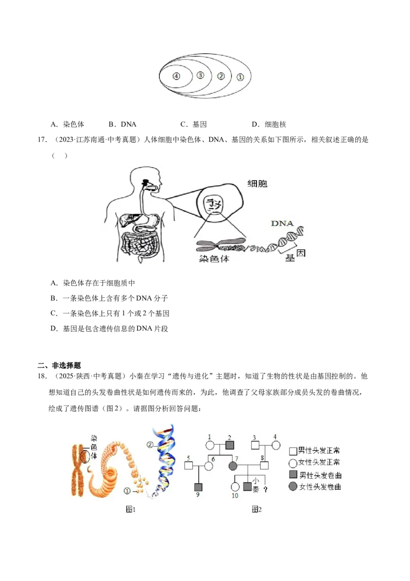 《专题12生物的遗传和变异（全国通用）（学生版）_2026年中考真题分类汇编9科_三年（2023-2025）中考生物真题分类汇编（全国通用）-C432》第5页预览