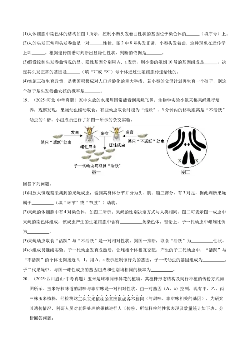 《专题12生物的遗传和变异（全国通用）（学生版）_2026年中考真题分类汇编9科_三年（2023-2025）中考生物真题分类汇编（全国通用）-C432》第6页预览