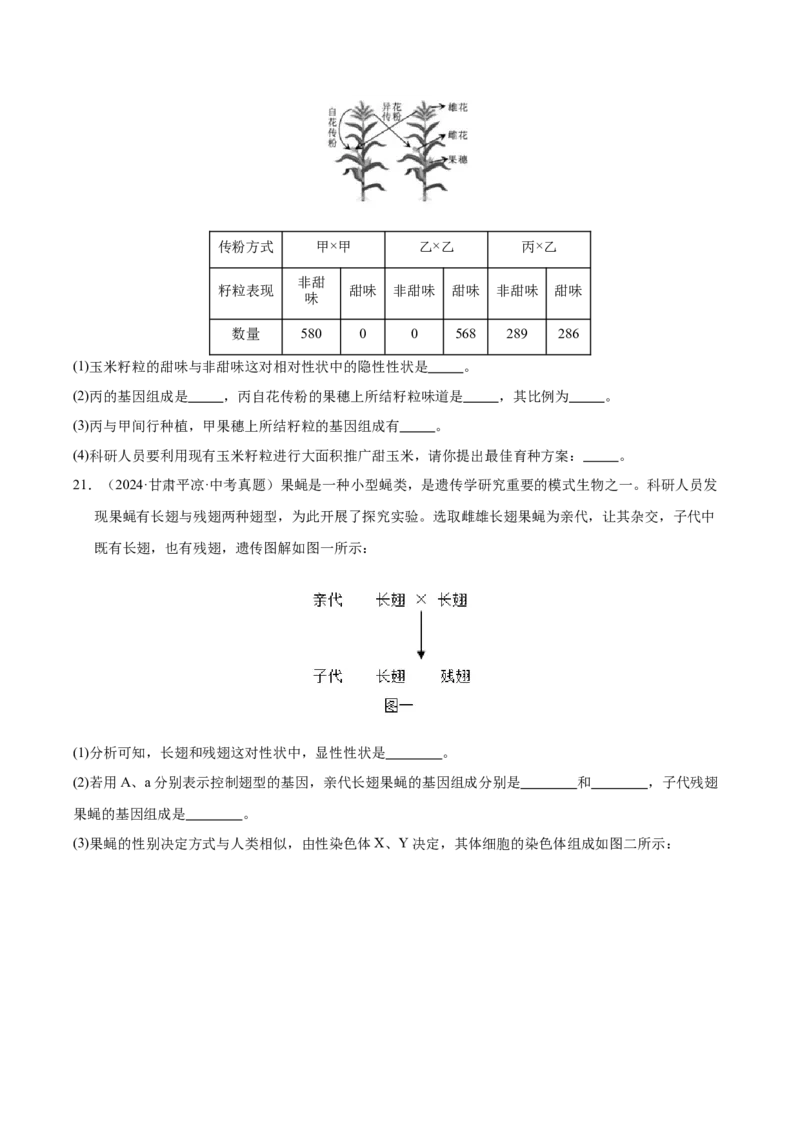 《专题12生物的遗传和变异（全国通用）（学生版）_2026年中考真题分类汇编9科_三年（2023-2025）中考生物真题分类汇编（全国通用）-C432》第7页预览