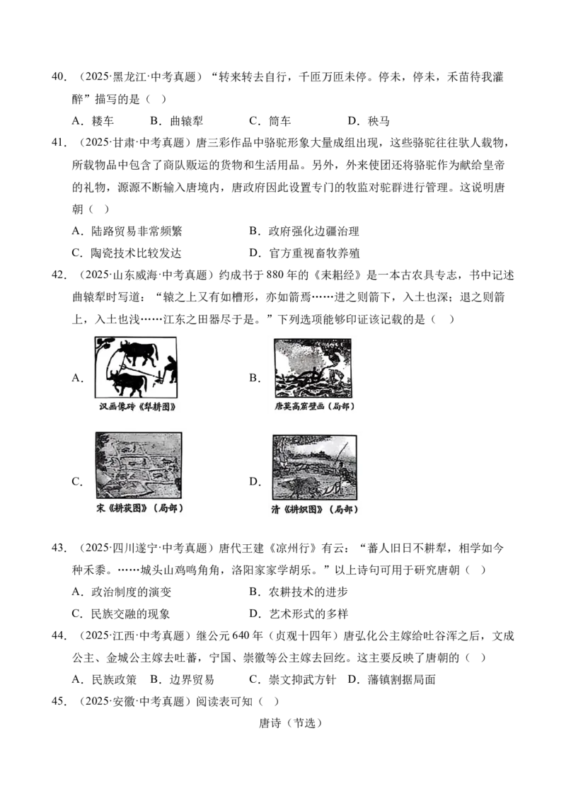 《专题05繁荣与开放的时代·选择题（全国通用）（学生版）_2026年中考真题分类汇编9科_三年（2023-2025）中考历史真题分类汇编（全国通用）-C432》第10页预览