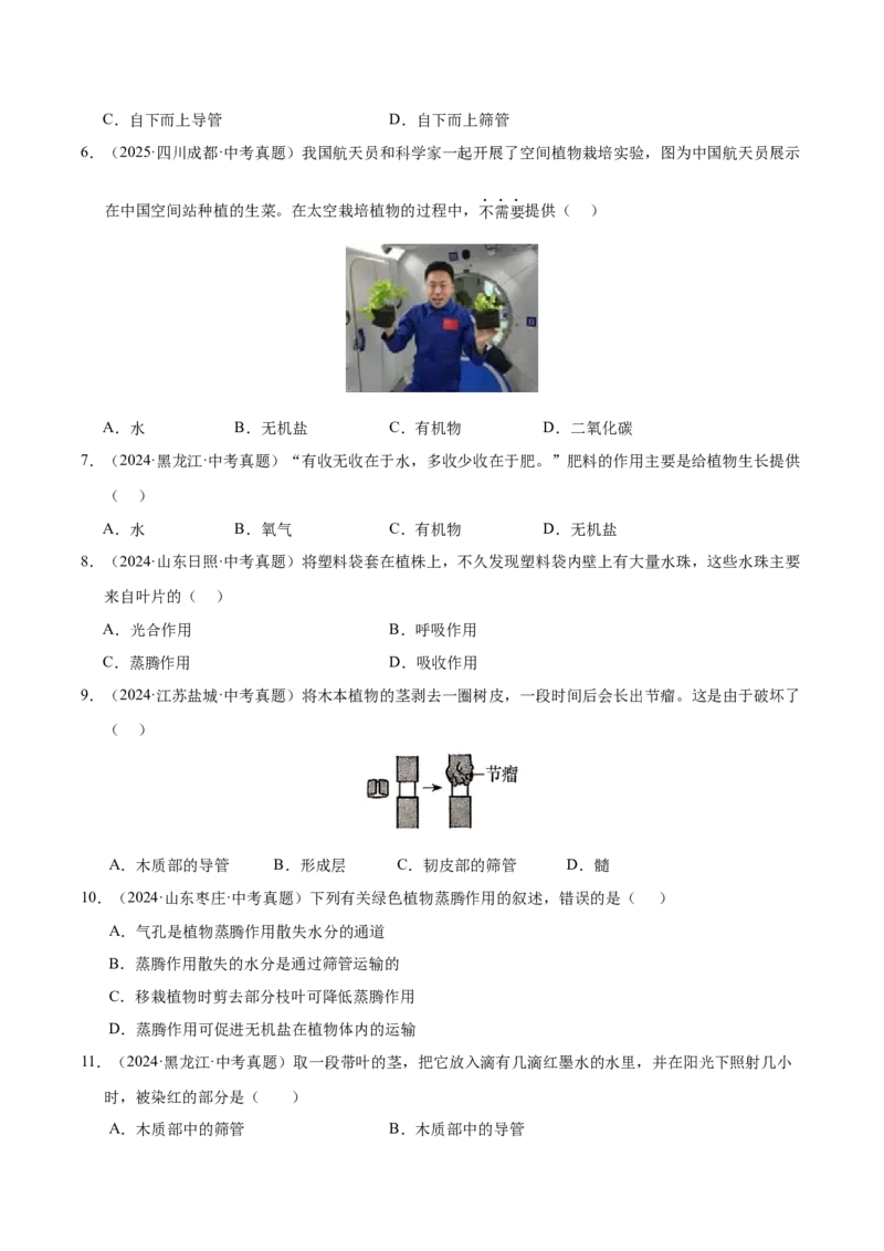 《专题04绿色植物的作用（全国通用）（学生版）_2026年中考真题分类汇编9科_三年（2023-2025）中考生物真题分类汇编（全国通用）-C432》第3页预览