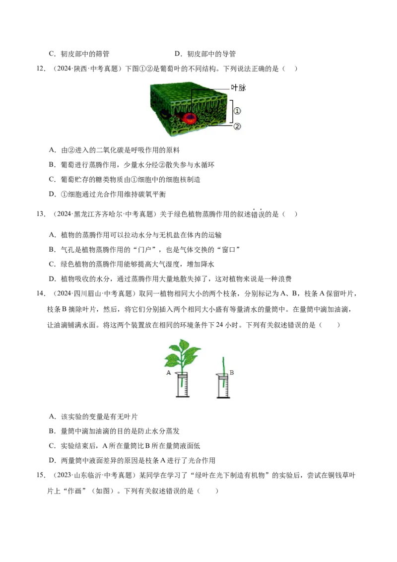 《专题04绿色植物的作用（全国通用）（学生版）_2026年中考真题分类汇编9科_三年（2023-2025）中考生物真题分类汇编（全国通用）-C432》第4页预览