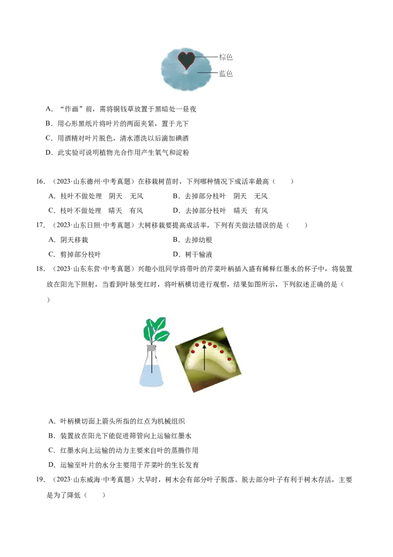 《专题04绿色植物的作用（全国通用）（学生版）_2026年中考真题分类汇编9科_三年（2023-2025）中考生物真题分类汇编（全国通用）-C432》第5页预览