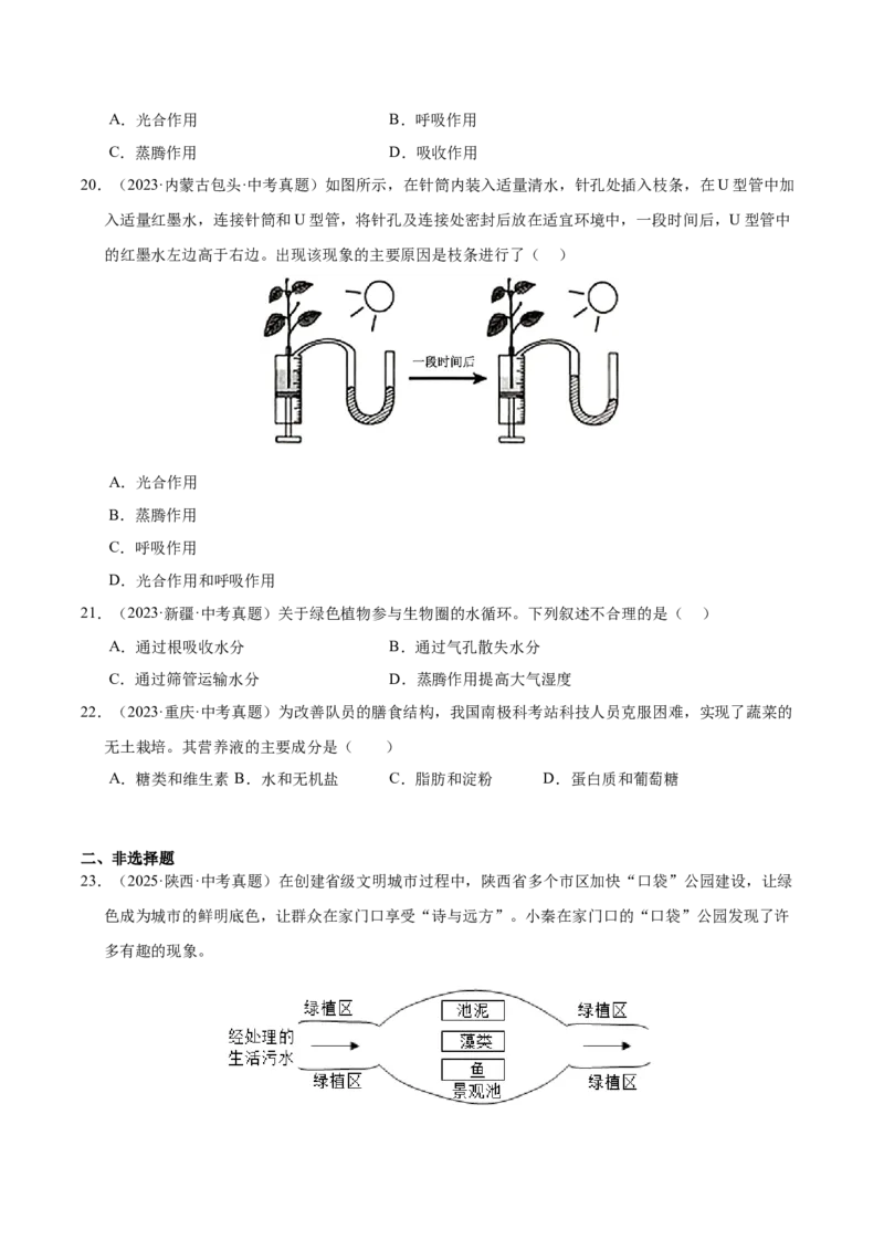 《专题04绿色植物的作用（全国通用）（学生版）_2026年中考真题分类汇编9科_三年（2023-2025）中考生物真题分类汇编（全国通用）-C432》第6页预览