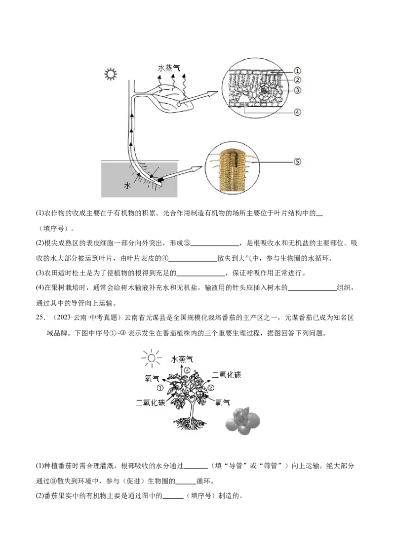 《专题04绿色植物的作用（全国通用）（学生版）_2026年中考真题分类汇编9科_三年（2023-2025）中考生物真题分类汇编（全国通用）-C432》第8页预览