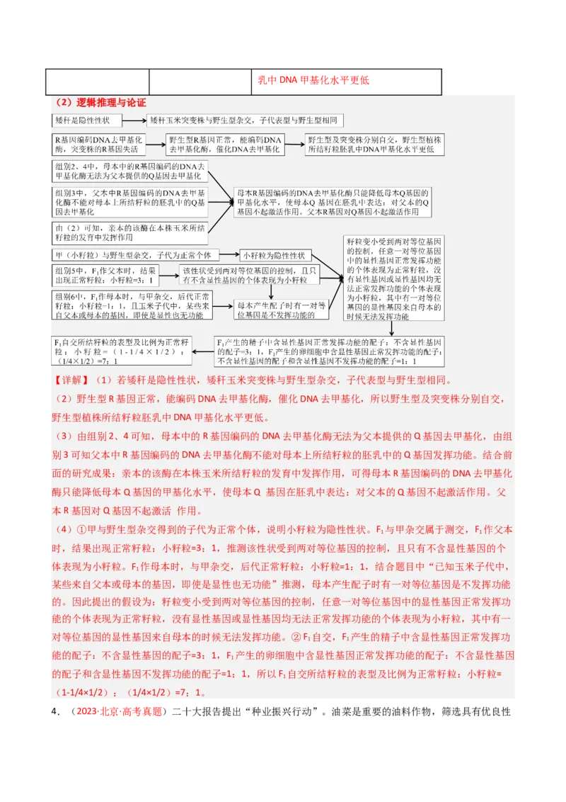 《专题06基因分离定律和自由组合定律（北京专用）（教师版）_北京高考全科_生物_5年（2021-2025）高考生物真题分类汇编（北京专用）》第4页预览