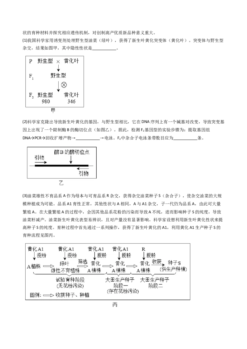 《专题06基因分离定律和自由组合定律（北京专用）（教师版）_北京高考全科_生物_5年（2021-2025）高考生物真题分类汇编（北京专用）》第5页预览