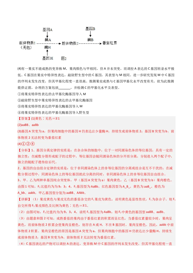 《专题06基因分离定律和自由组合定律（北京专用）（教师版）_北京高考全科_生物_5年（2021-2025）高考生物真题分类汇编（北京专用）》第7页预览