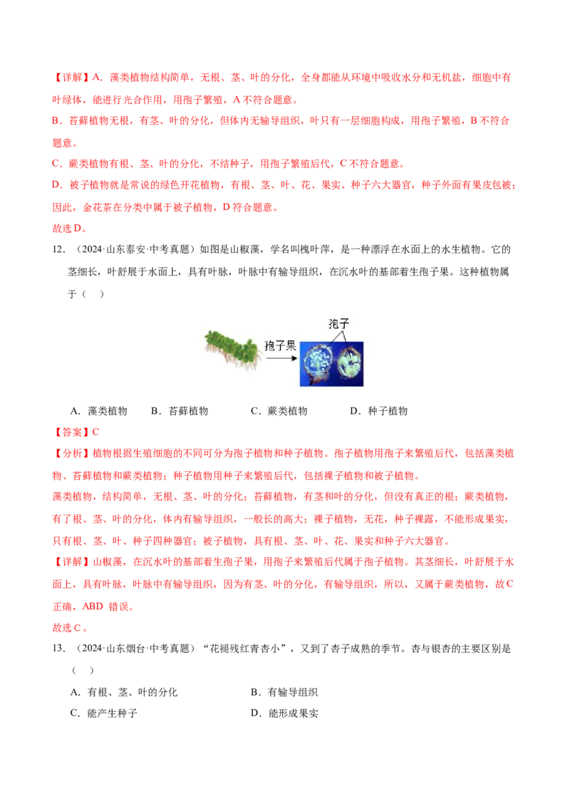 《专题03绿色开花植物的一生（全国通用）（教师版）_2026年中考真题分类汇编9科_三年（2023-2025）中考生物真题分类汇编（全国通用）-C432》第7页预览