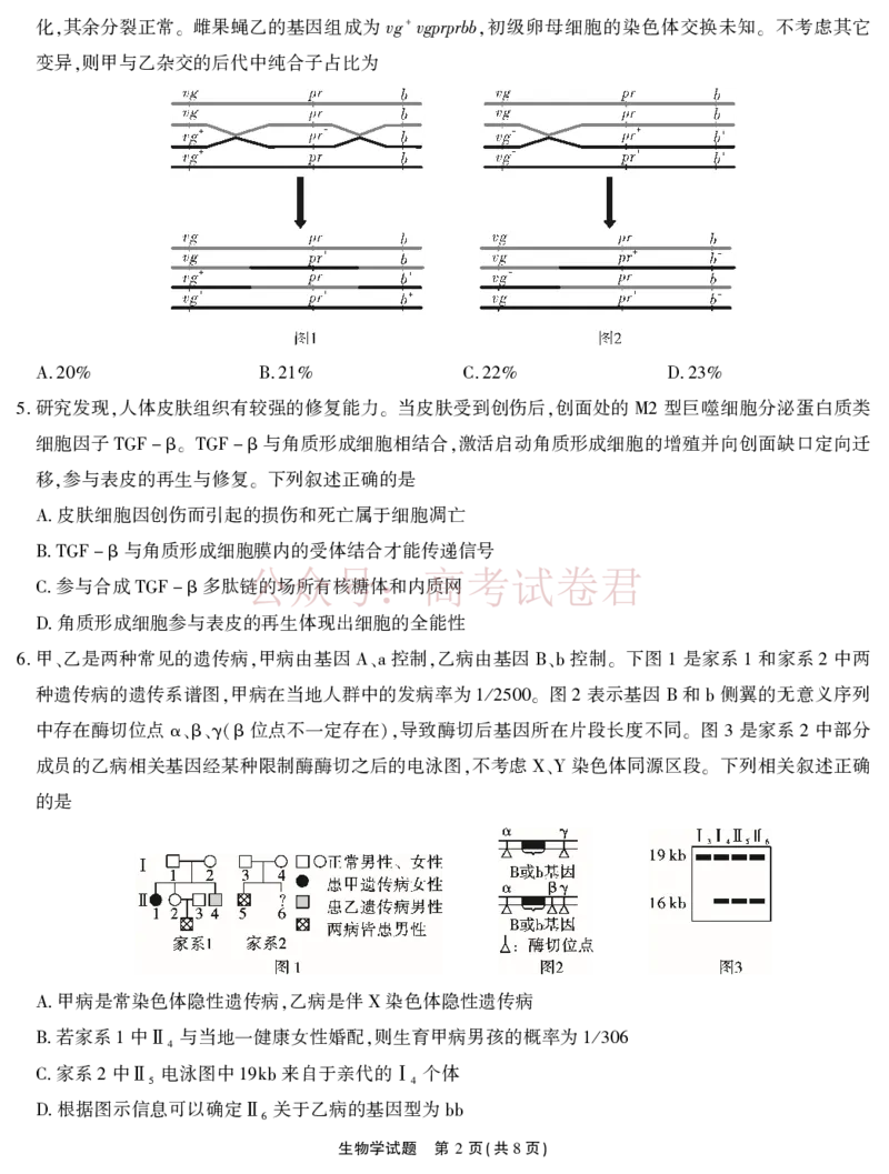 《2026届高三4月模拟考试生物_副本_副本_副本_12.2026年4月全国各地高考模拟卷_2026年4月_安徽江淮十校4月模拟安徽省江淮十校高三下学期4月模拟考试》第2页预览