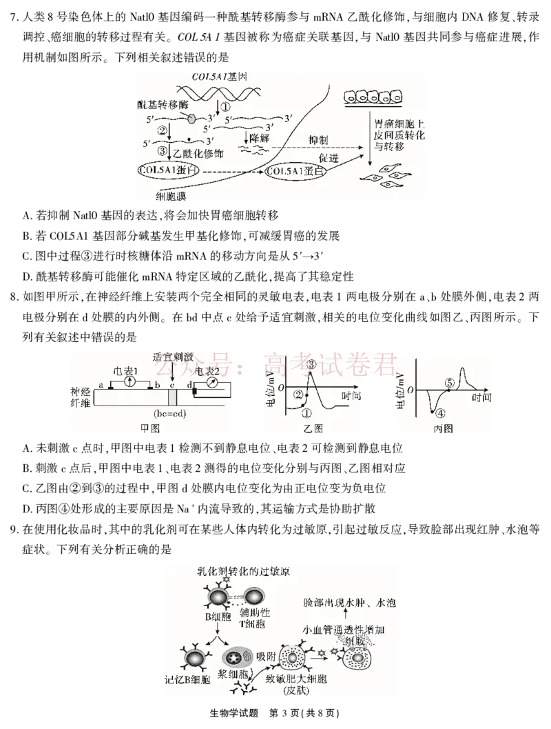 《2026届高三4月模拟考试生物_副本_副本_副本_12.2026年4月全国各地高考模拟卷_2026年4月_安徽江淮十校4月模拟安徽省江淮十校高三下学期4月模拟考试》第3页预览