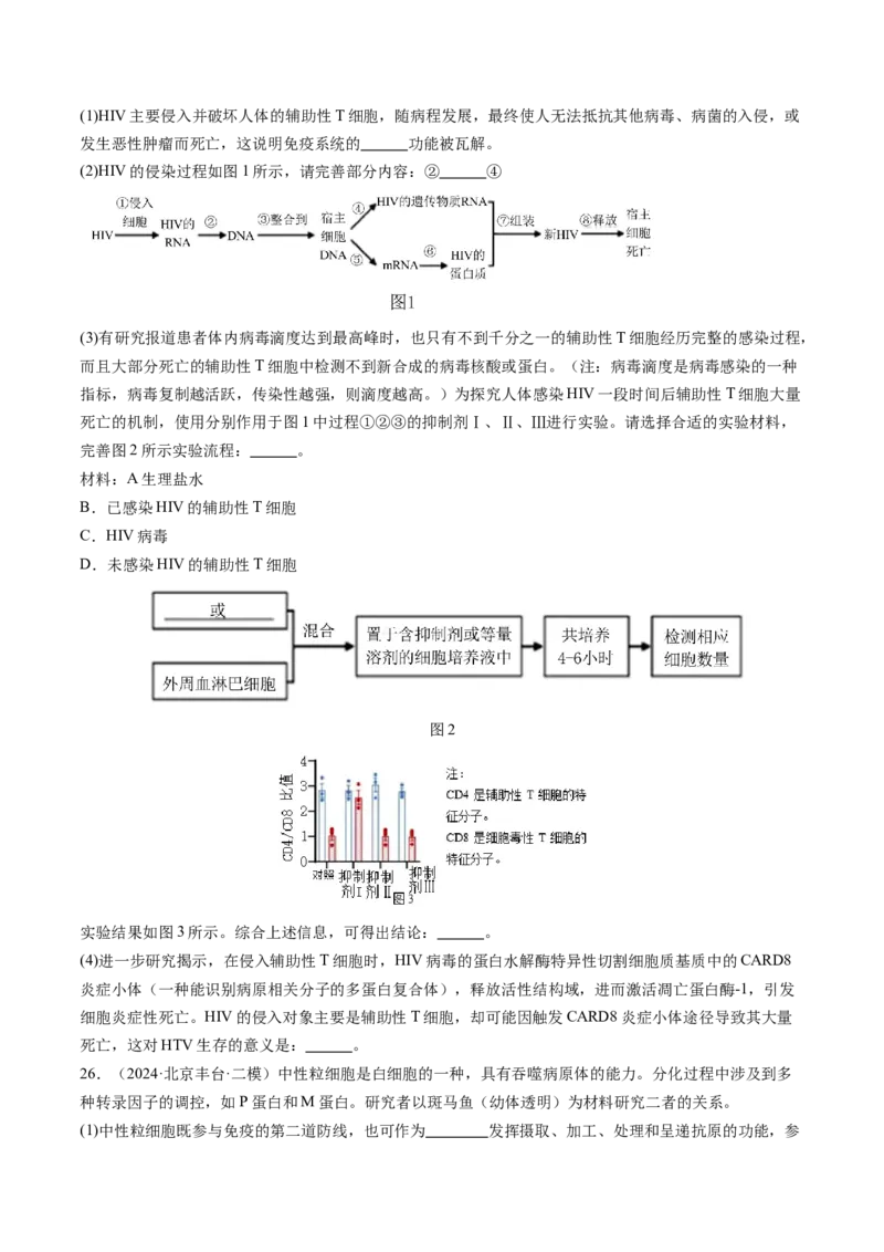 《专题13免疫调节（学生版）_北京高考全科_生物_五年（2020-2024）高考生物真题分类汇编（北京专用）》第10页预览