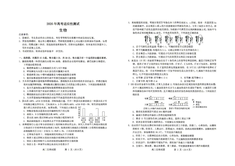 《2026年高考适应性测试生物_2024-2027高三（6-6月题库）_2026年05月高三试卷_260513山东省烟台市2026年高考适应性测试（烟台二模）（全科）》第1页预览