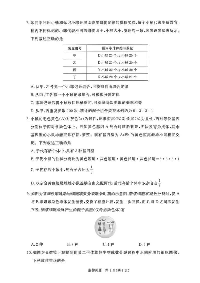 《高一生物_2024-2027高一（7-7月题库）(1)_2026年05月高一试卷_260504河南省青桐鸣2025-2026学年（下）高一年级期中考试（全）_生物》第3页预览