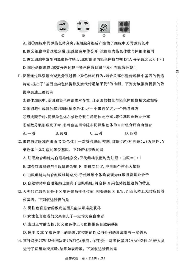 《高一生物_2024-2027高一（7-7月题库）(1)_2026年05月高一试卷_260504河南省青桐鸣2025-2026学年（下）高一年级期中考试（全）_生物》第4页预览