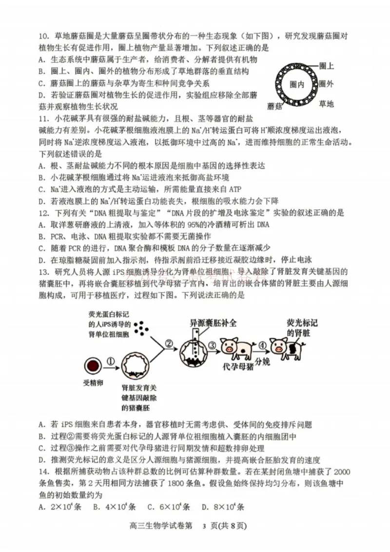 《生物-辽宁省丹东市2026届高三年级教学质量监测(丹东一模)_副本_12.2026年4月全国各地高考模拟卷_2026年4月_辽宁丹东一模2026年辽宁省丹东市高三年级教学质量监测》第3页预览