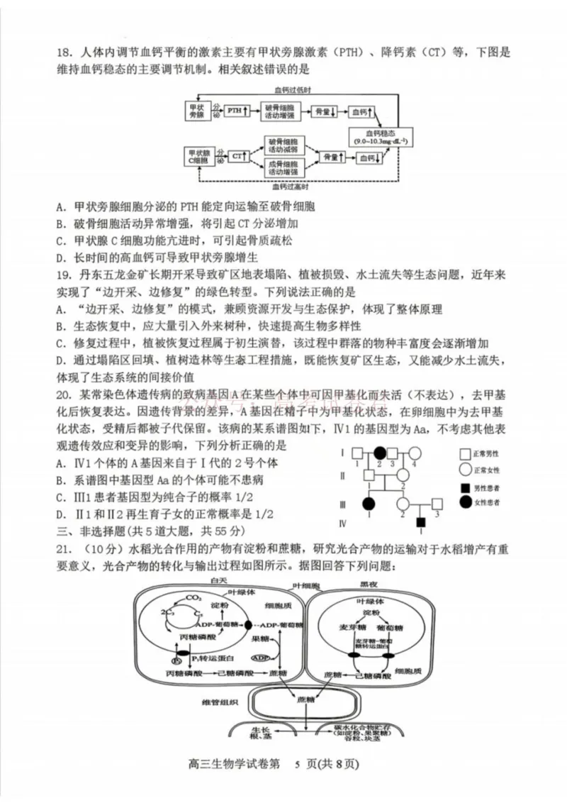 《生物-辽宁省丹东市2026届高三年级教学质量监测(丹东一模)_副本_12.2026年4月全国各地高考模拟卷_2026年4月_辽宁丹东一模2026年辽宁省丹东市高三年级教学质量监测》第5页预览