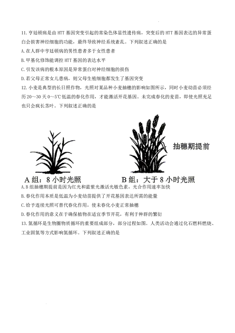 《2026年哈尔滨市高考第二次模拟考试生物+答案_2024-2027高三（6-6月题库）_2026年05月高三试卷_260513黑龙江省2026年哈尔滨市高考第二次模拟考试（哈尔滨二模）（全科）》第4页预览
