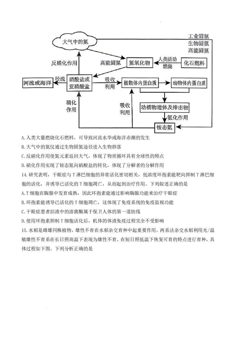 《2026年哈尔滨市高考第二次模拟考试生物+答案_2024-2027高三（6-6月题库）_2026年05月高三试卷_260513黑龙江省2026年哈尔滨市高考第二次模拟考试（哈尔滨二模）（全科）》第5页预览