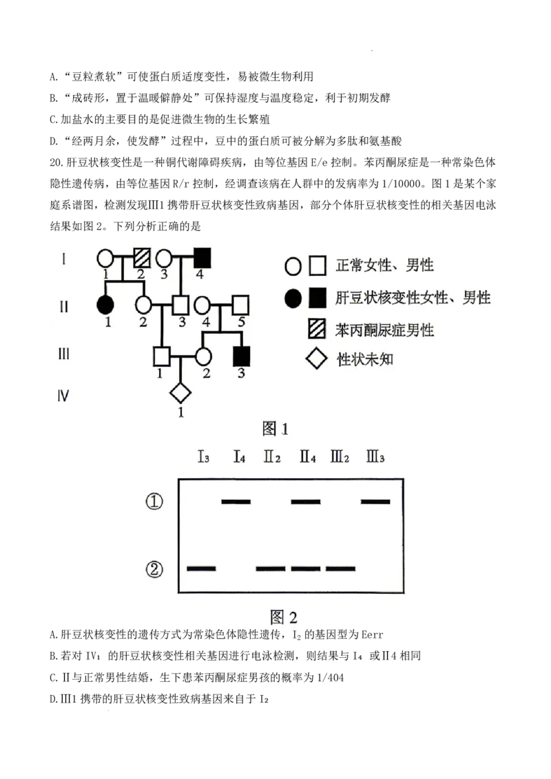 《2026年哈尔滨市高考第二次模拟考试生物+答案_2024-2027高三（6-6月题库）_2026年05月高三试卷_260513黑龙江省2026年哈尔滨市高考第二次模拟考试（哈尔滨二模）（全科）》第8页预览