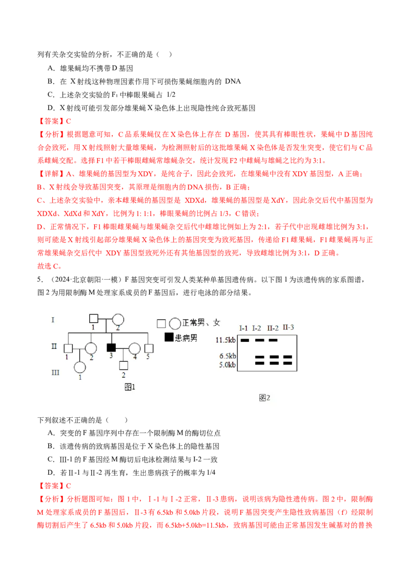 《专题08伴性遗传和人类遗传病（教师版）_北京高考全科_生物_五年（2020-2024）高考生物真题分类汇编（北京专用）》第6页预览