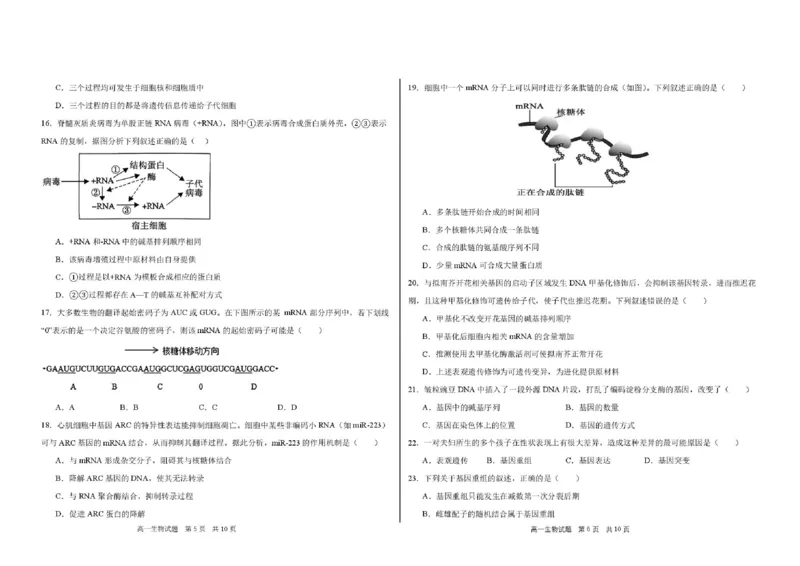 《高一生物期中考试题高一生物期中考试题_2024-2027高一（7-7月题库）(1)_2026年06月高一试卷_260615黑龙江大庆市大庆中学2025-2026学年高一下学期期中考试》第3页预览