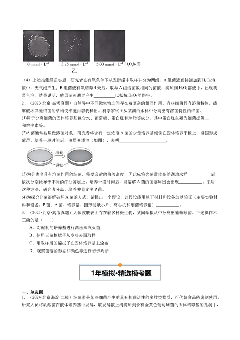《专题16发酵工程（学生版）_北京高考全科_生物_五年（2020-2024）高考生物真题分类汇编（北京专用）》第2页预览