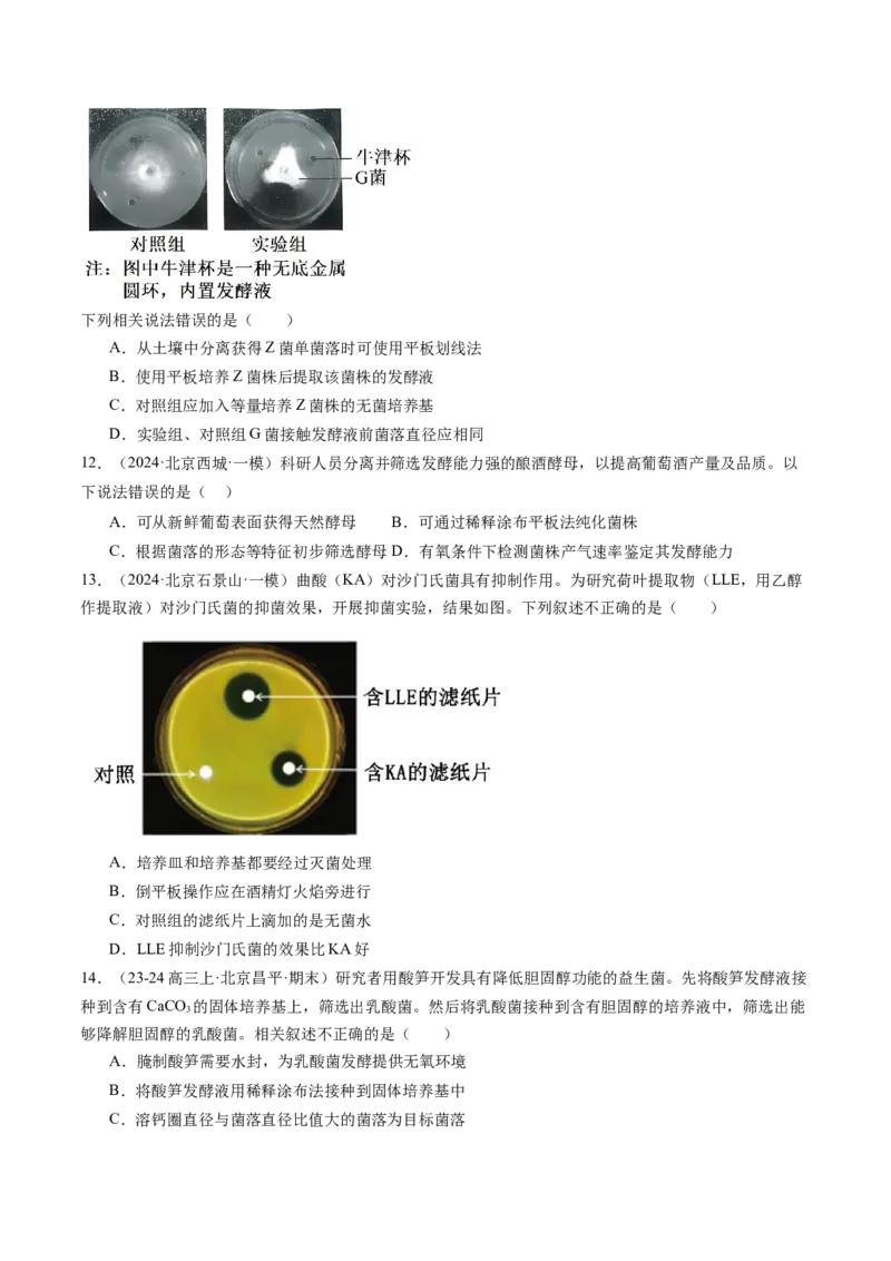 《专题16发酵工程（学生版）_北京高考全科_生物_五年（2020-2024）高考生物真题分类汇编（北京专用）》第6页预览