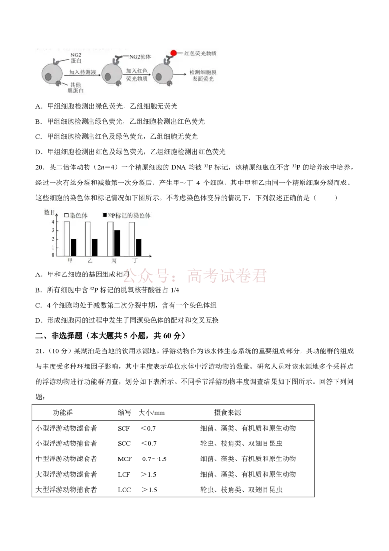 《浙江省湖州、衢州、丽水三地市2026届高三下学期4月二模生物试题（含答案）_副本_12.2026年4月全国各地高考模拟卷_2026年4月_06生物_浙江省湖州、衢州、丽水4月三地市高三教学质量检测》第6页预览