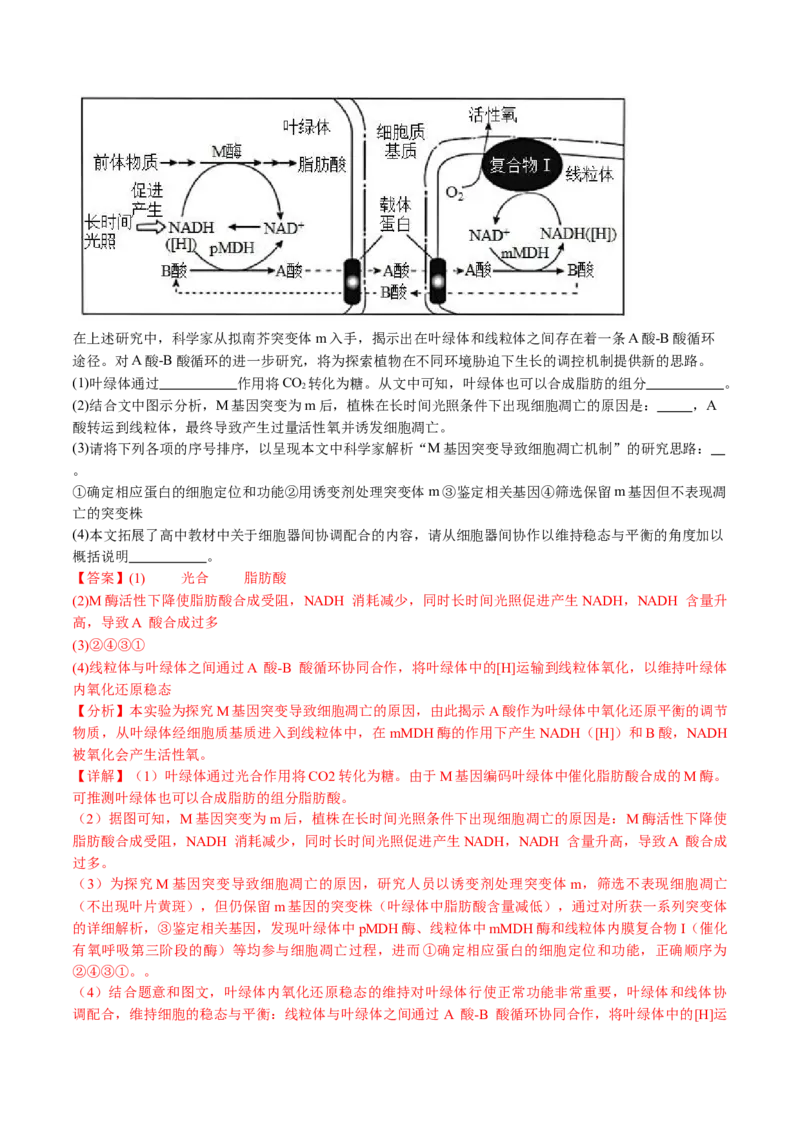 《专题03细胞呼吸和光合作用（教师版）_北京高考全科_生物_五年（2020-2024）高考生物真题分类汇编（北京专用）》第5页预览