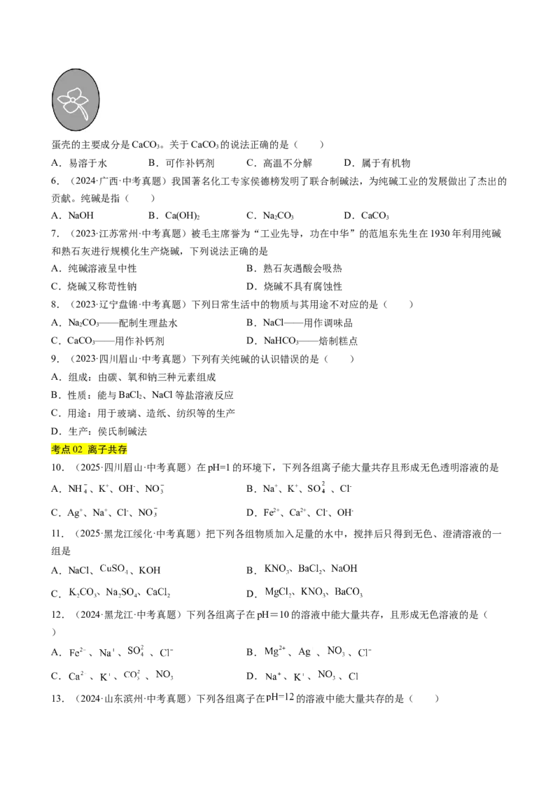 《专题09盐和化肥（学生版）_2026年中考真题分类汇编9科_三年（2023-2025）中考化学真题分类汇编（全国通用）-C432》第2页预览