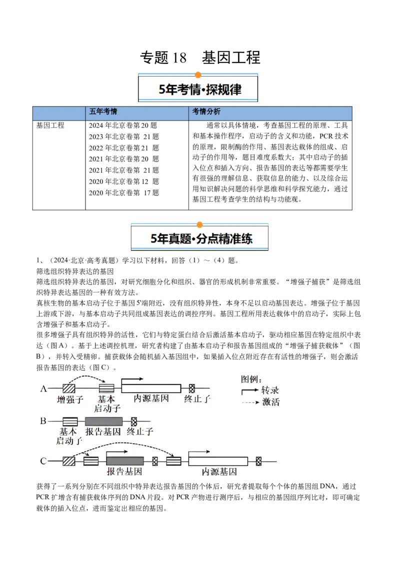《专题18基因工程（教师版）_北京高考全科_生物_五年（2020-2024）高考生物真题分类汇编（北京专用）》第1页预览