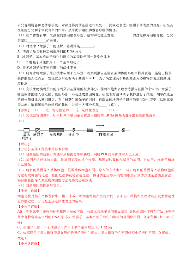 《专题18基因工程（教师版）_北京高考全科_生物_五年（2020-2024）高考生物真题分类汇编（北京专用）》第2页预览