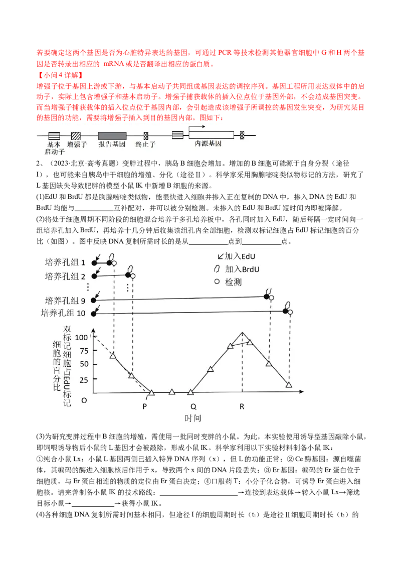 《专题18基因工程（教师版）_北京高考全科_生物_五年（2020-2024）高考生物真题分类汇编（北京专用）》第3页预览