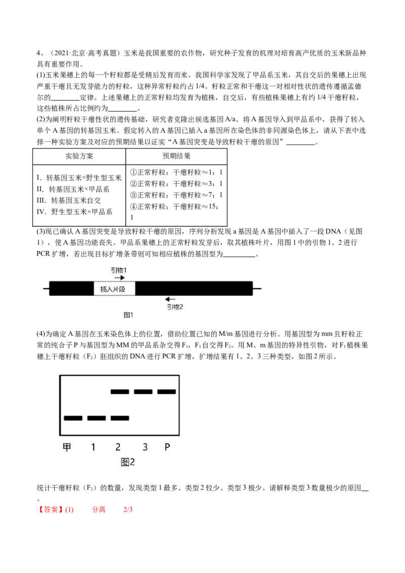 《专题18基因工程（教师版）_北京高考全科_生物_五年（2020-2024）高考生物真题分类汇编（北京专用）》第6页预览