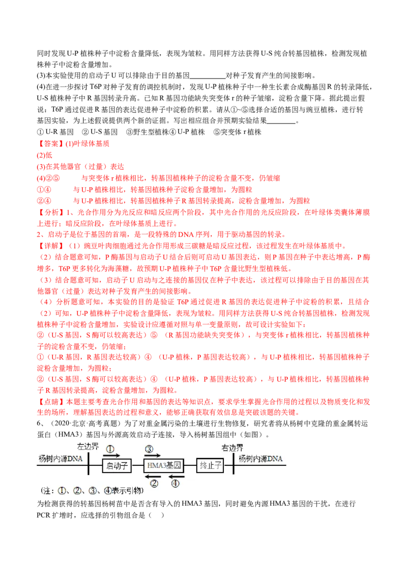 《专题18基因工程（教师版）_北京高考全科_生物_五年（2020-2024）高考生物真题分类汇编（北京专用）》第8页预览
