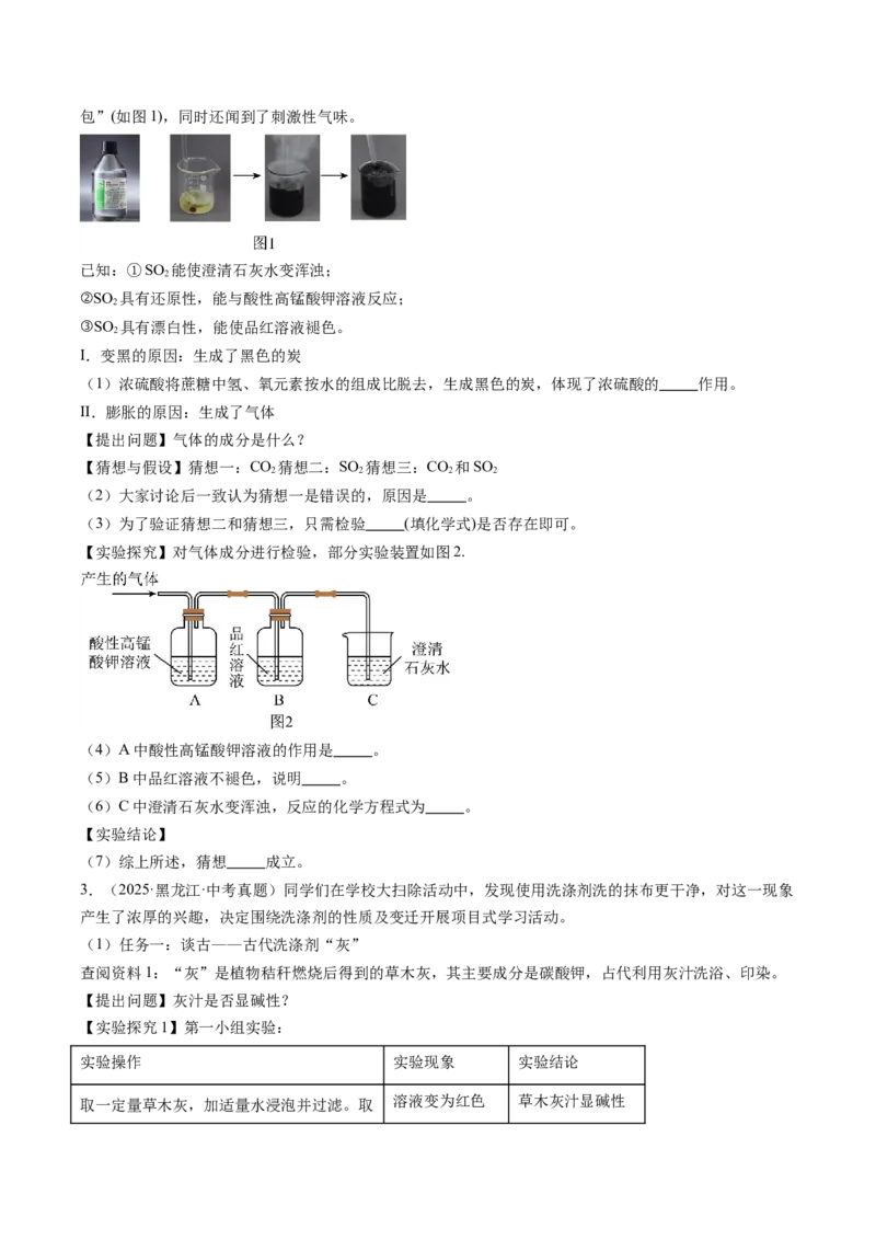 《专题22实验探究题（学生版）_2026年中考真题分类汇编9科_三年（2023-2025）中考化学真题分类汇编（全国通用）-C432》第2页预览