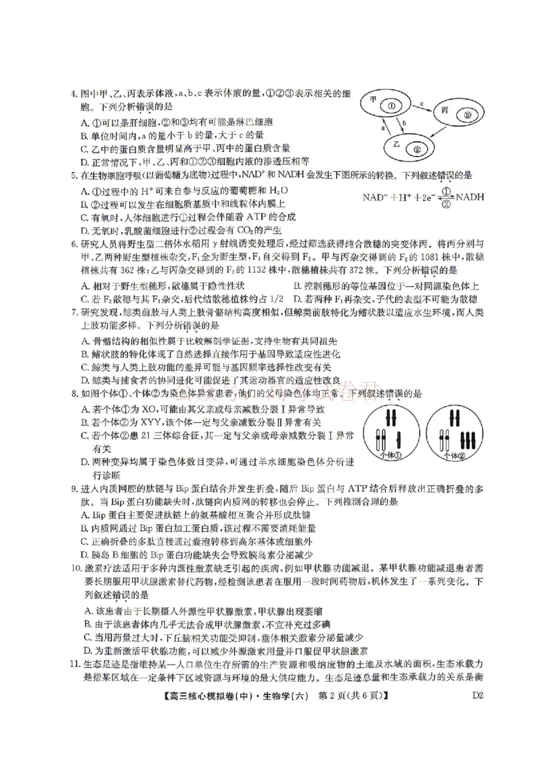 《2026年九师联盟高三核心模拟卷中（六）生物_12.2026年4月全国各地高考模拟卷_2026届九师联盟高三核心模拟卷中（六）全科_06生物_九师联盟高三核心模拟卷中（六）》第2页预览